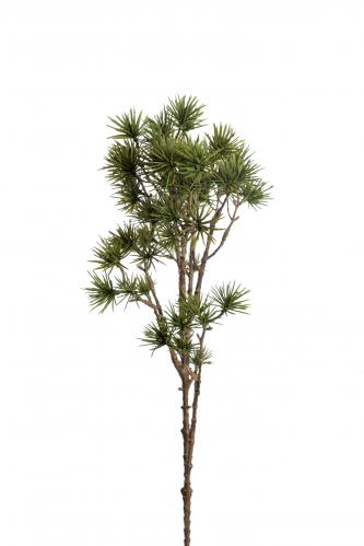 Lärk - Grön - 75 cm - www.frokenfraken.se