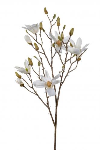 Magnolia - Vit - 115 cm - www.frokenfraken.se
