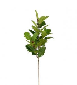 Ek - Grön - 95 cm - www.frokenfraken.se