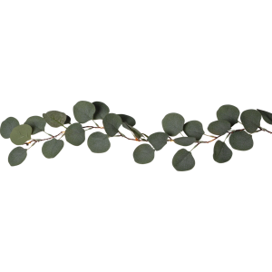 Ljusslinga - eucalyptus - 20 lampor - 180 cm - www.frokenfraken.se