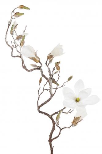 Magnolia med is - Vit - 140 cm - www.frokenfraken.se
