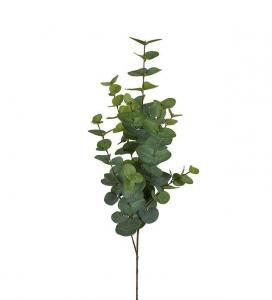 Eucalyptus - Grön - 115 cm - www.frokenfraken.se