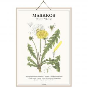 Skolplansch Maskros - Vit, Grön, Gul - B46 x H66 cm - www.frokenfraken.se