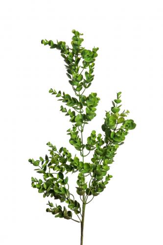 Eucalyptus - Grön - 95 cm - www.frokenfraken.se