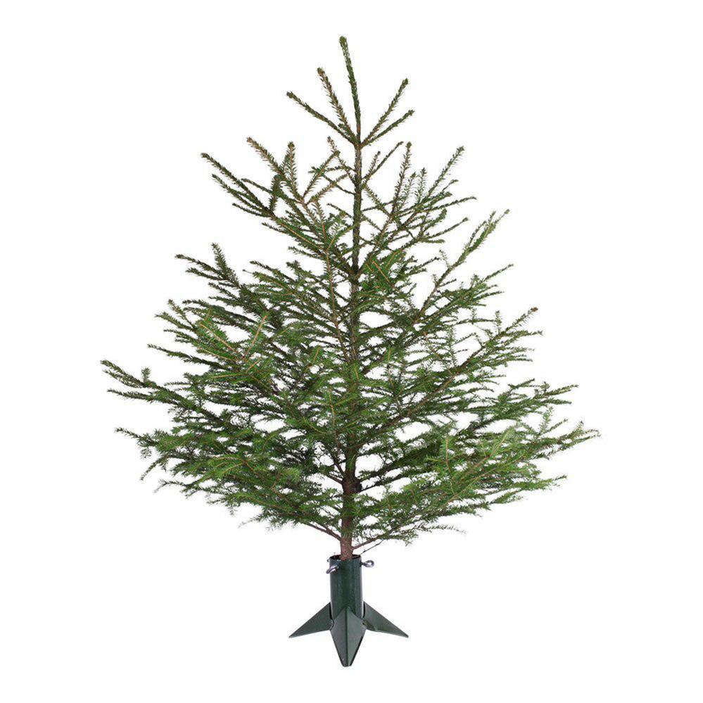 Julgransfot Liten Grön B20 x H15 cm från Strömshaga 199.00 kr