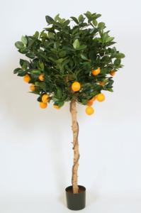 Citrusträd - 120 cm - www.frokenfraken.se