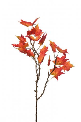 Lönn - - 75 cm - www.frokenfraken.se