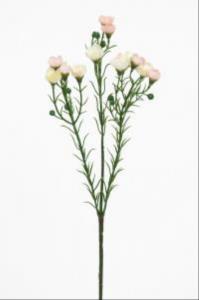 Vaxblomma - Ljusrosa/Vit - 40 cm - www.frokenfraken.se