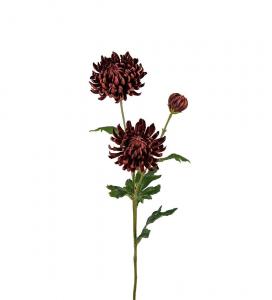 Chrysanthemum - Brun - 60 cm - www.frokenfraken.se