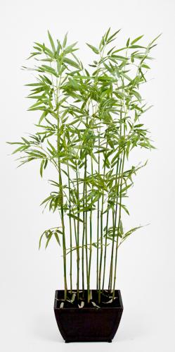 Bambu - - 160 cm - www.frokenfraken.se