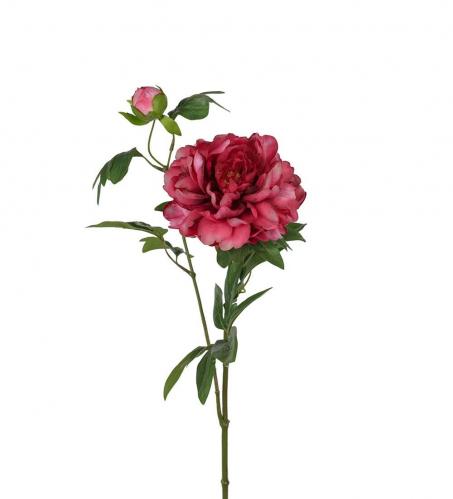 Pion - Cerise - 65 cm - www.frokenfraken.se