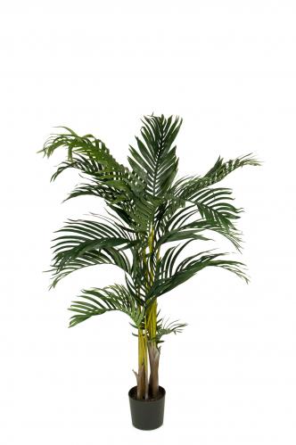 Kentia Palm - 110 cm - www.frokenfraken.se
