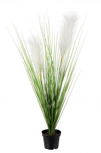 Gräs - Grön - 65 cm - www.frokenfraken.se