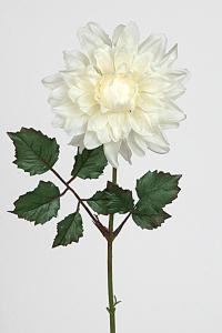 Dahlia - Vit - 45 cm - www.frokenfraken.se