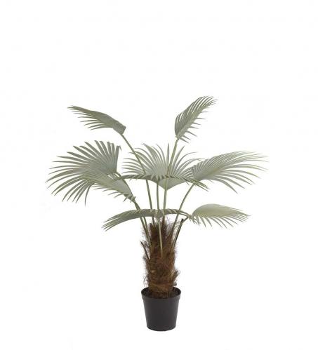 Palm - Gr - 150 cm - www.frokenfraken.se