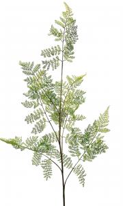 Ormbunksblad - Grön - 140 cm - www.frokenfraken.se