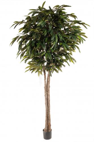 Longifolia - 260 cm - www.frokenfraken.se