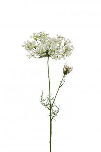 Allium - Vit - 70 cm - www.frokenfraken.se