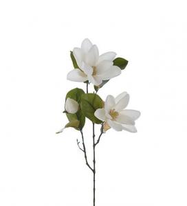 Magnolia - Vit - 70 cm - www.frokenfraken.se