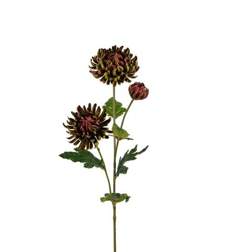 Chrysanthemum - Grön - 60 cm - www.frokenfraken.se