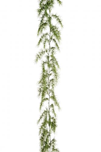 Barrgirlang - Grön - 180 cm - www.frokenfraken.se
