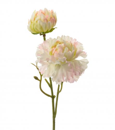 SLUT_Chrysanthemum - Rosa - 25 cm - www.frokenfraken.se