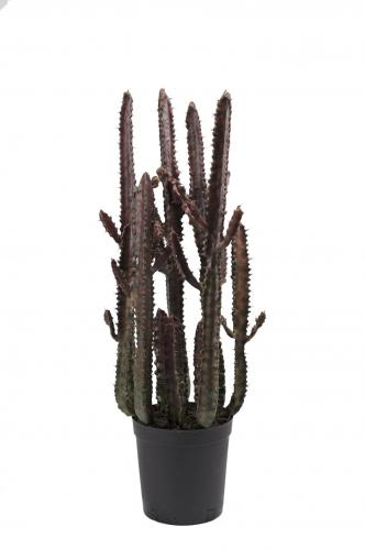Kaktus - Grön - 65 cm - www.frokenfraken.se