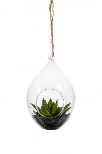 Succulent i glas - www.frokenfraken.se