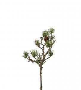 Lärk med kottar - Grön - 55 cm - www.frokenfraken.se