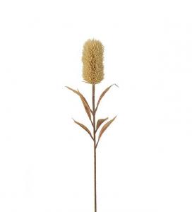 Banksia - Beige - 75 cm - www.frokenfraken.se