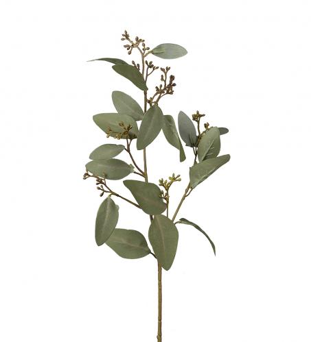 SLUT_Eucalyptus - Grn - 60 cm - www.frokenfraken.se