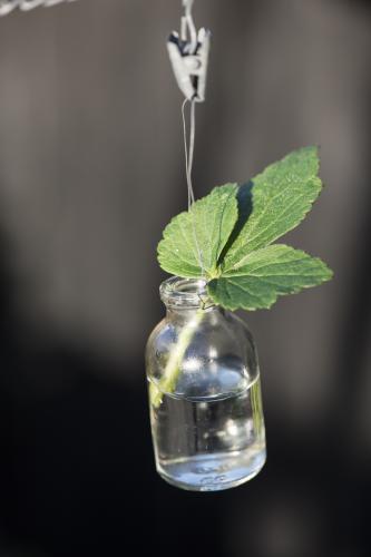 SLUT_Glasflaska - Minivas i tråd eller Ljusstake - 5,5 cm - www.frokenfraken.se