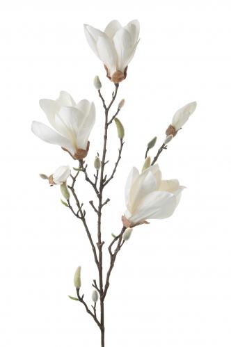 Magnolia - Vit - 95 cm - www.frokenfraken.se