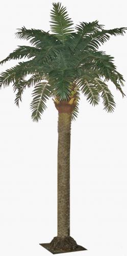 Palm - - 350 cm - www.frokenfraken.se