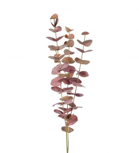 Eucalyptus - Burgundy - 60 cm - www.frokenfraken.se