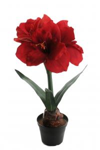 Amaryllis - Röd - 45 cm - www.frokenfraken.se