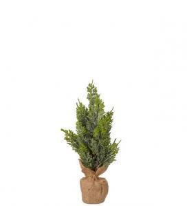 Cypress i kruka av säckväv - Julträd - 40 cm - www.frokenfraken.se