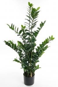 Zamifolia - Grön - 130 cm - www.frokenfraken.se