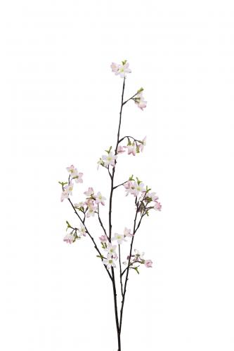 Körsbärsblom - Rosa - 80 cm - www.frokenfraken.se