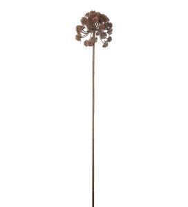Angelica - Brun - 95 cm - www.frokenfraken.se