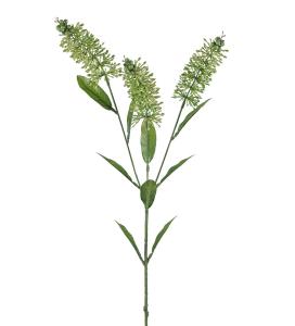 Astilbe - Gul - 70 cm - www.frokenfraken.se
