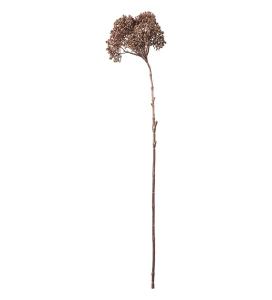 Bärkvist - Brun - 74 cm - www.frokenfraken.se