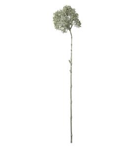 Bärkvist - Grön - 74 cm - www.frokenfraken.se