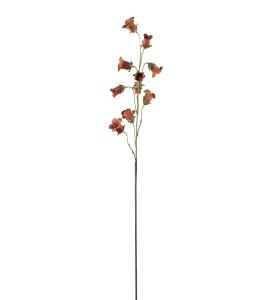 Blåklocka - Brun - 85 cm - www.frokenfraken.se