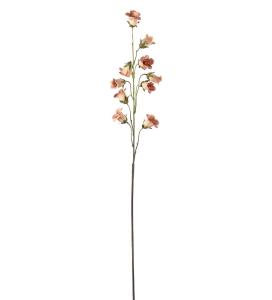 Blåklocka - Persika - 85 cm - www.frokenfraken.se