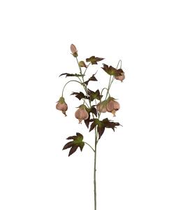 Blomsterlönn - Brun - 83 cm - www.frokenfraken.se