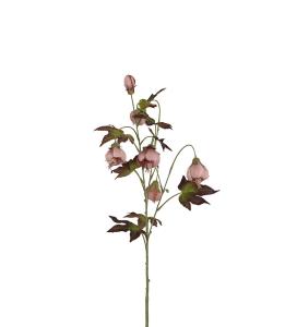 Blomsterlönn - Rosa - 83 cm - www.frokenfraken.se