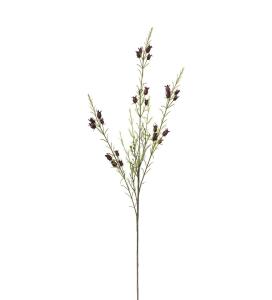 Calluna - Burgundy - 63 cm - www.frokenfraken.se