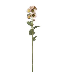 Chrysanthemum - Rosa - 58 cm - www.frokenfraken.se