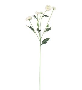 Chrysanthemum - Vit - 60 cm - www.frokenfraken.se